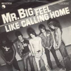 Mr Big (UK) : Feel Like Calling Home - Louisiana Street